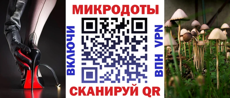 Псилоцибиновые грибы прущие грибы  где можно купить наркотик  KRAKEN маркетплейс  Обь 